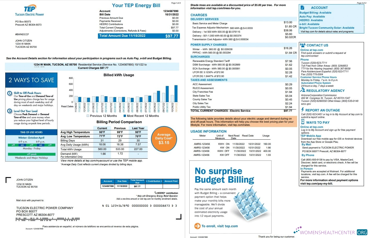 download USA Arizona Tucson Electric Power (TEP) utility bill, Word and PDF template, 2 pages PDF template